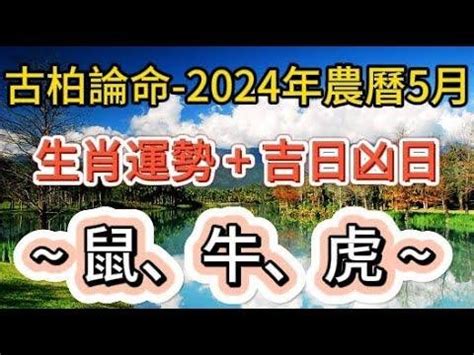 張古柏命理|古柏論命 – 張古柏: 風水的流派 